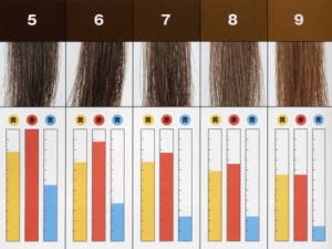 染髮之毛束明度5至9紅黃藍之等分