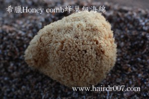 20141028希臘Honey comb蜂巢級海綿3特寫