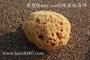 20141028希臘Honey comb蜂巢級海綿正面縮小1