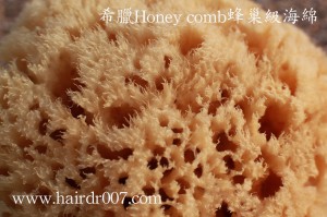 20141028希臘Honey comb蜂巢級海綿特寫縮小2