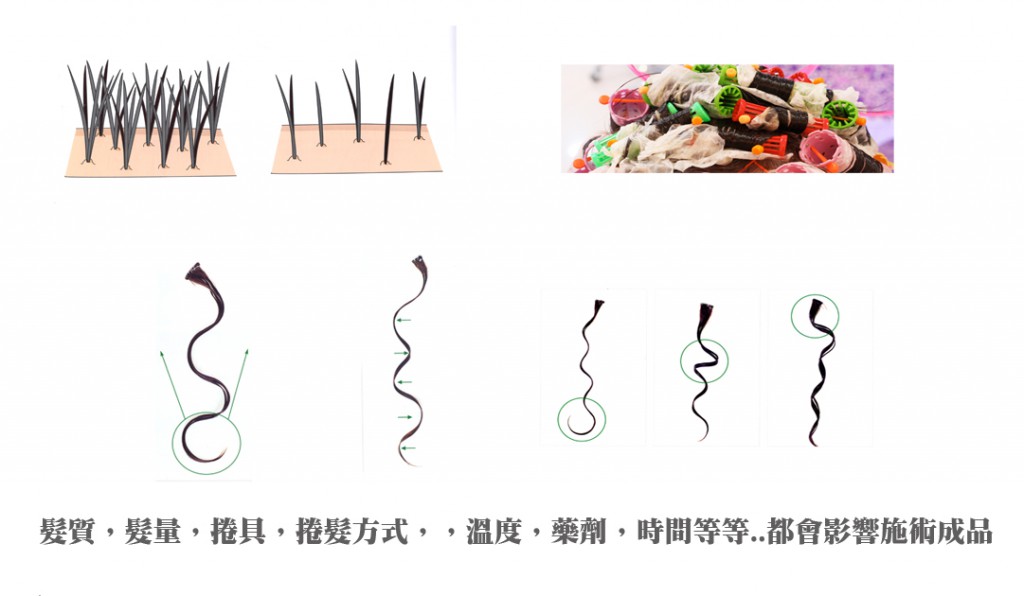 信桑圖示髮量捲髮方式影響燙髮成品1