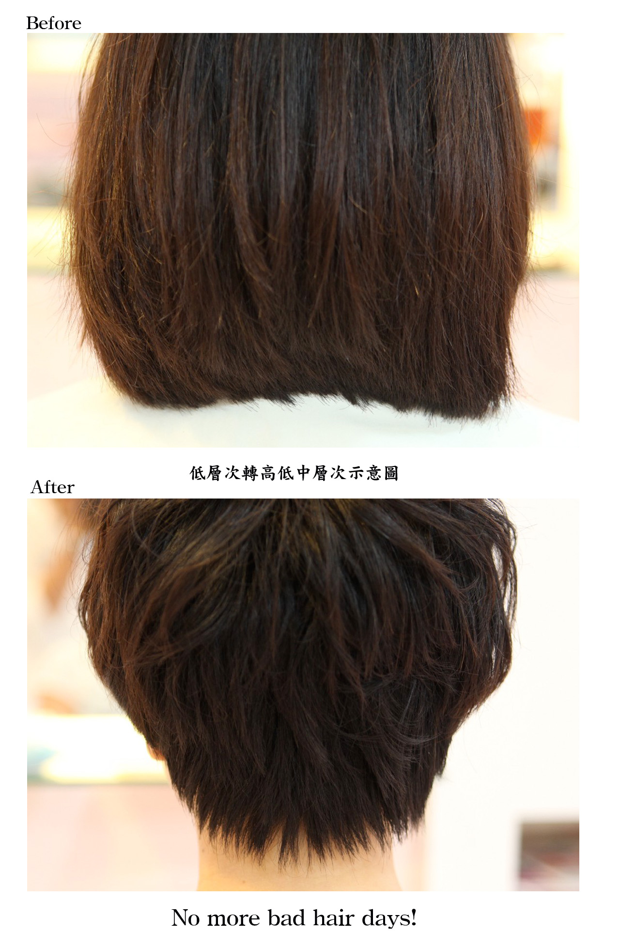 20120531練小姐低層次轉高低中層次剪髮後面示意圖1