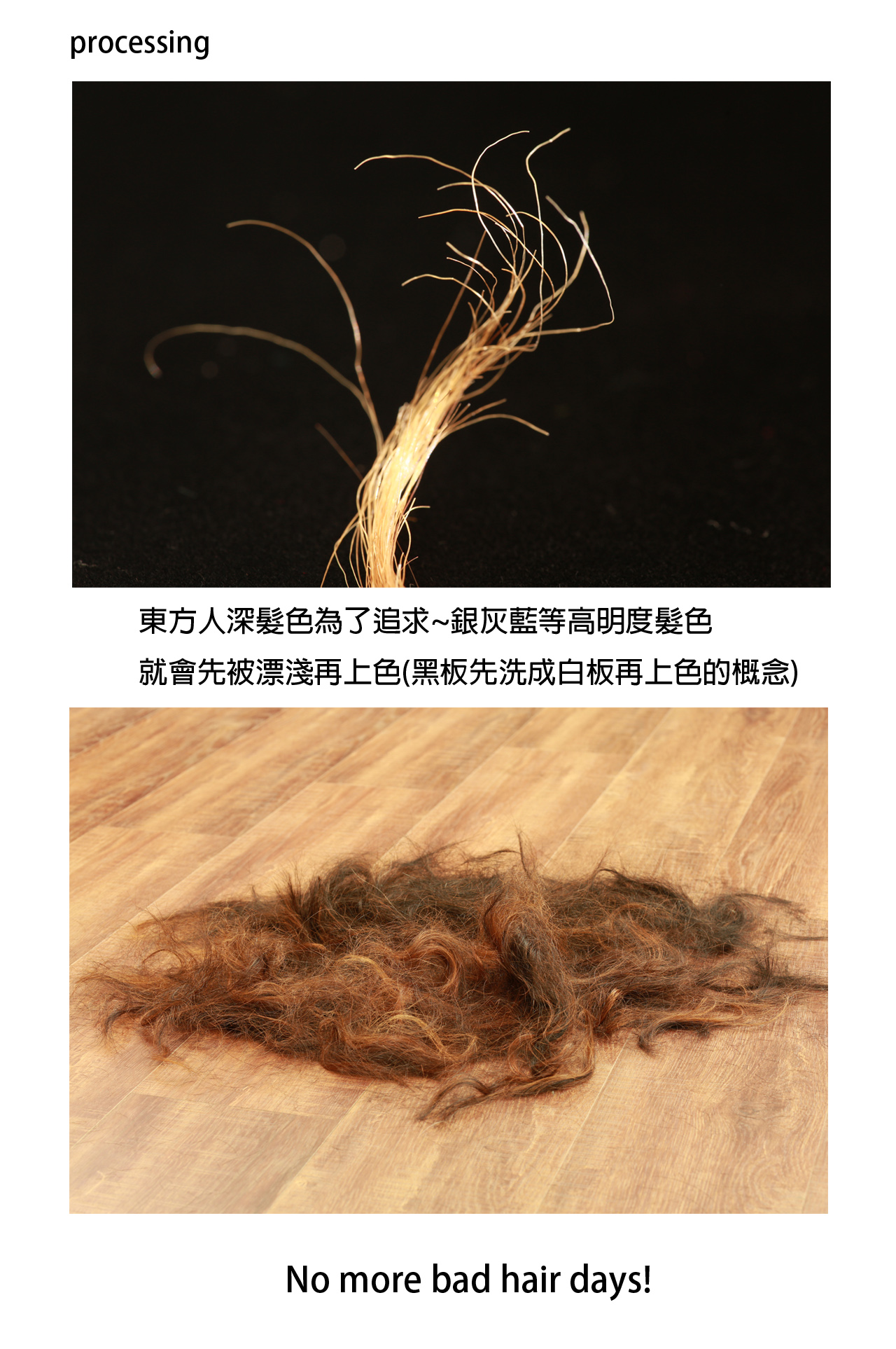 20180105李小姐剪髮中後後漂染髮絲放大圖1